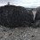 Quarrying Zhang Wang’s Volcano Rocks (image courtesy Rén Space)
挖掘展望雕塑用火山石（图片提供Rén Space）