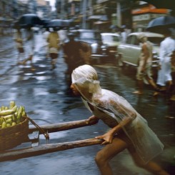 Brian Brake. Crawford Market, Mumbai, India, 1960. From the series "Monsoon". Collection Museum of New Zealand Te Papa Tongarewa, gift of Wai-man Lau, 2001.
布莱恩•布瑞克，季风系列之《克劳福市集，印度孟买》，1960。新西兰国家博物馆藏品。刘惠文先生于2001年捐赠。
