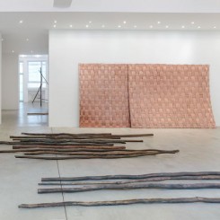 Ximena Garrido-Lecca (installation view). Image courtesy the artist and Galerie Gisela Capitain, Cologne