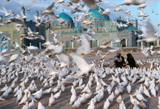 Steve McCurry. Blue Mosque, Mazar-i-Sharif, Afghanistan, 1991. © Steve McCurry. 史蒂夫•麦凯瑞,《蓝色清真寺,阿富汗马扎里沙里夫》, 1991 © 史蒂夫·麦凯瑞
