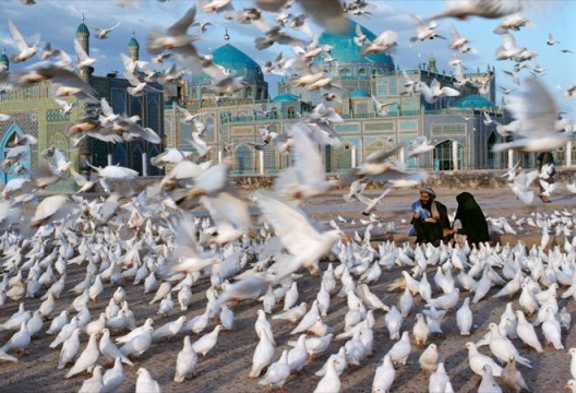 Steve McCurry. Blue Mosque, Mazar-i-Sharif, Afghanistan, 1991. © Steve McCurry. 史蒂夫•麦凯瑞，《蓝色清真寺，阿富汗马扎里沙里夫》， 1991 © 史蒂夫·麦凯瑞