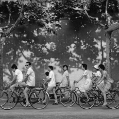 Title: Bicycles
Location: Suzhou
Shot: 1988