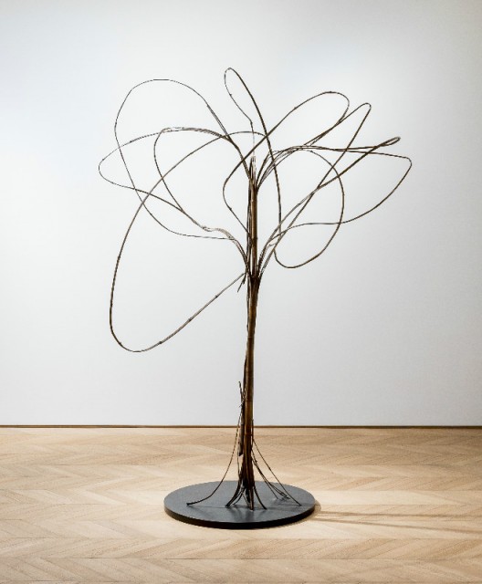 Xiao Yu,