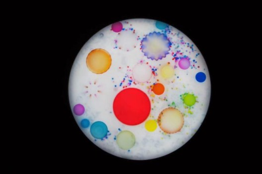 Zheng Lu, C / Milk Bacteria C, Light Box, Collection-grade digital micro-jet, Diameter 120cm, 2019 (image courtesy the artist and SGA) 郑路, 牛奶细菌, 灯箱 收藏级数码微喷, 直径120cm, 2019 (图片礼貌艺术家和SGA) 