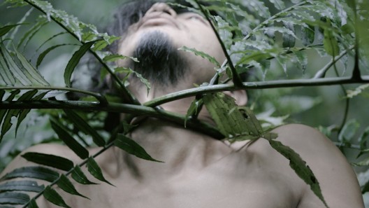 ZHENG Bo, Pteridophilia 3, 2018. Video (4K, color, sound); 15 min. Courtesy of the artist. 郑波，《蕨恋3》，2018。录像（4K，彩色，有声）；17分钟。感谢艺术家提供图片。 